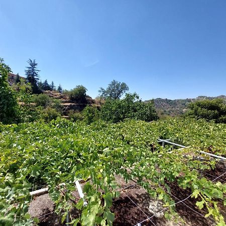 Agros Green Valley Suites 레메소스 외부 사진