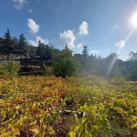 Agros Green Valley Suites 레메소스 외부 사진