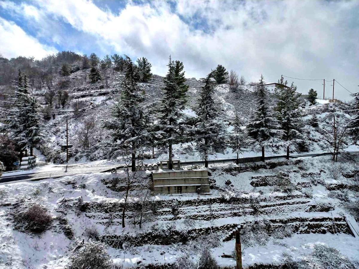 Agros Green Valley Suites 레메소스 외부 사진