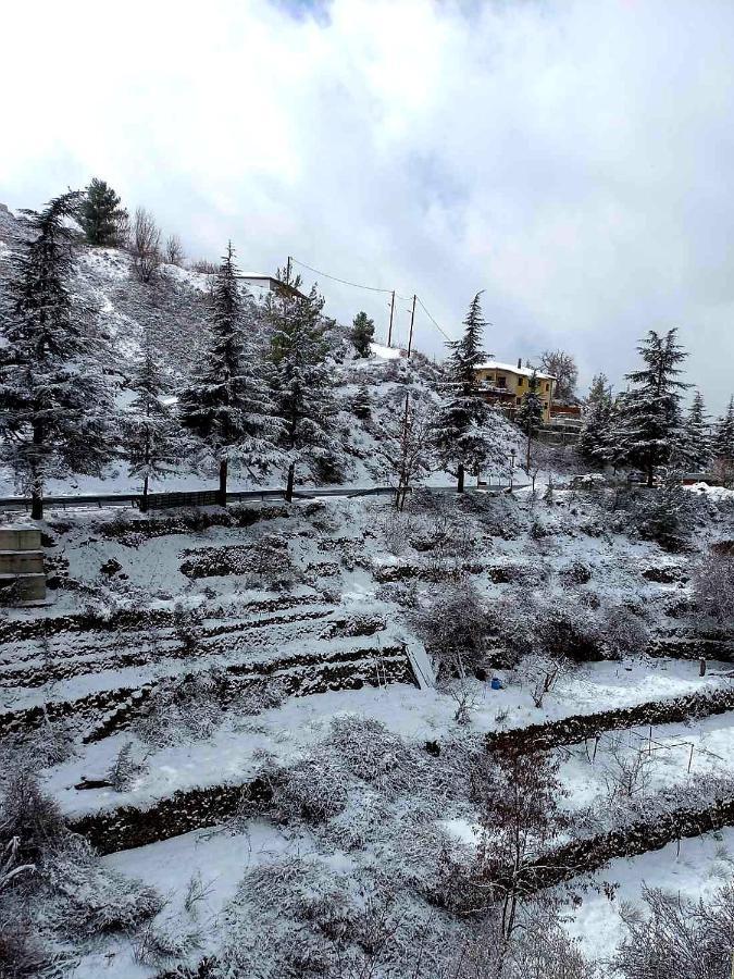 Agros Green Valley Suites 레메소스 외부 사진