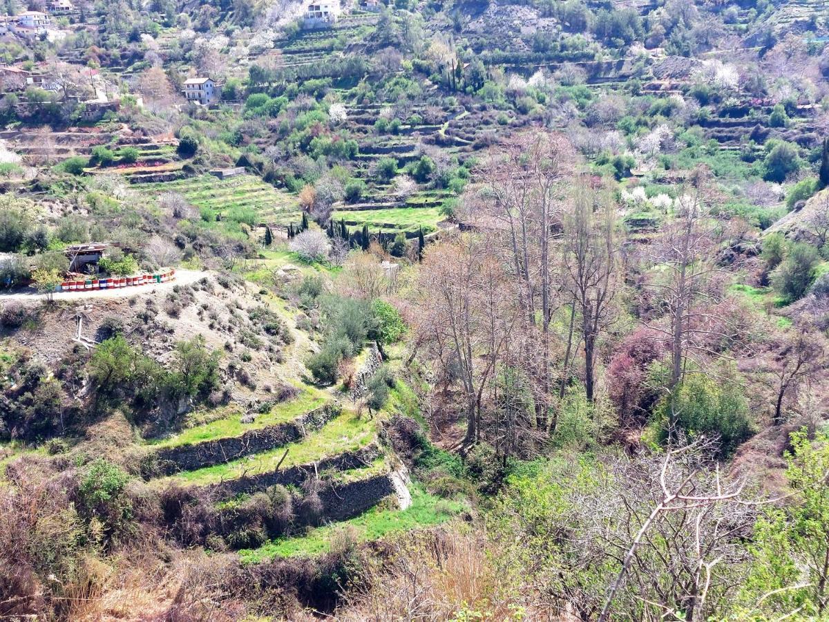 Agros Green Valley Suites 레메소스 외부 사진