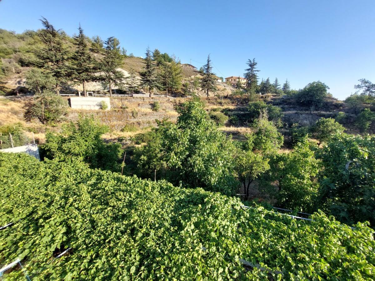 Agros Green Valley Suites 레메소스 외부 사진